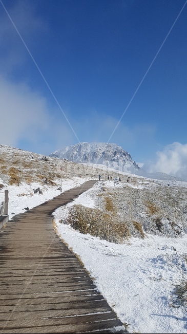 한라산,영실,설산,백록담,제주도