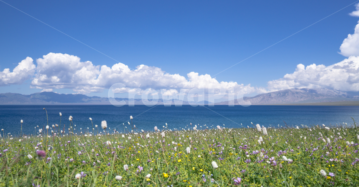 파란하늘,구름,호수,들판,초원,꽃,자연,풍경,nature,landscape,outdoors,옥외,field,들,grassland,목초지