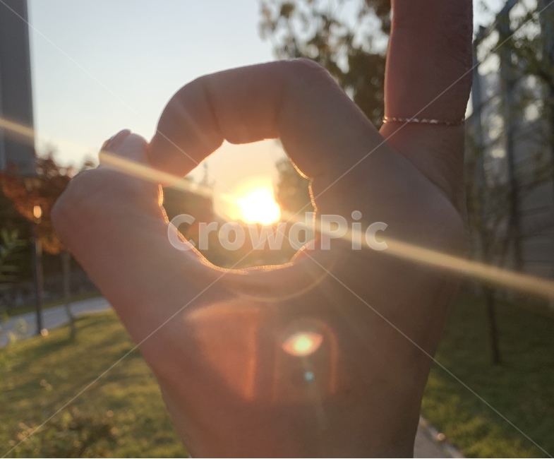 빛,손,hand,person,사람,human,light,해,감성,자연