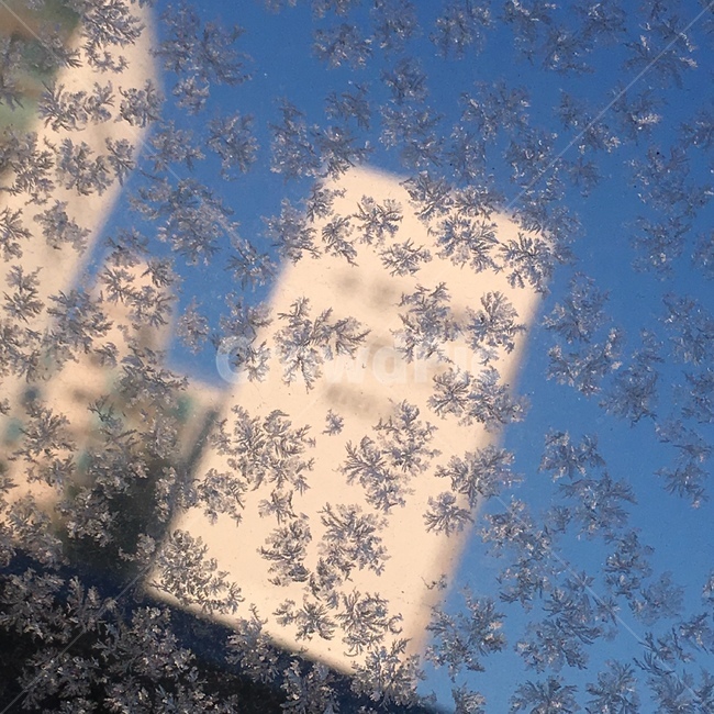 성에,겨울,눈,유리,결정,겨울,계절,winter,season