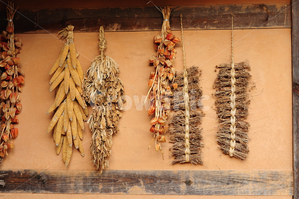 말린옥수수,우거지,처마,꽈리,황토집,corn,koreanhouse,시골,마을,풍경,landscape,country,rural,town