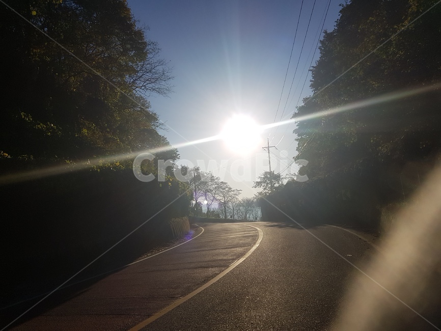 햇빛,도로,자연,밝음,빛,자연,풍경,nature,landscape,light,flare,플레어,asphalt,아스팔트