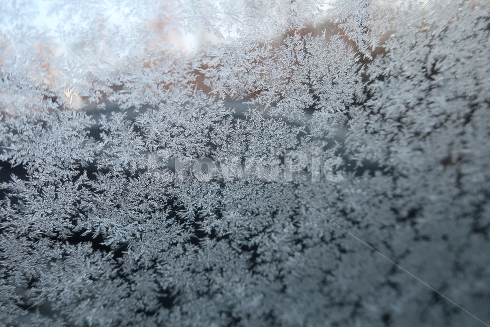 자동차,유리창,추위,겨울,한파,주의보,결로,현상,결정,모양,계절,겨울,계절,winter,season