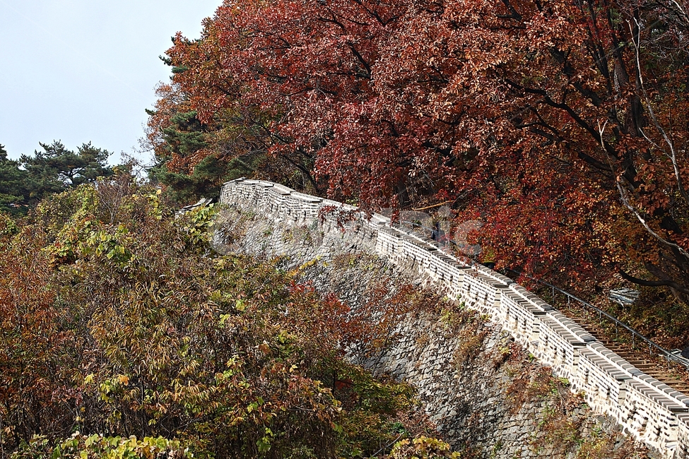 남한산성,성,성곽,단풍,낙엽,길,둘레길,숲,숲길,담,돌담,가을,자연,풍경,벽,울긋불긋,산성,식물,가을,계절,fall,autumn,season