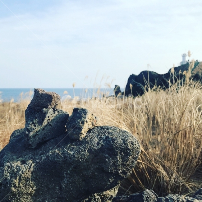 현무암,바람,풍경,돌탑,겨울,가을,갈대,바다,돌,자연,자연,풍경,nature,landscape,한국자연풍경,한국자연경관,korea nature landscape,제주도,jeju,jeju island