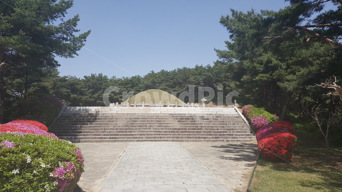고분,김유신장군묘,식물,나무,꽃