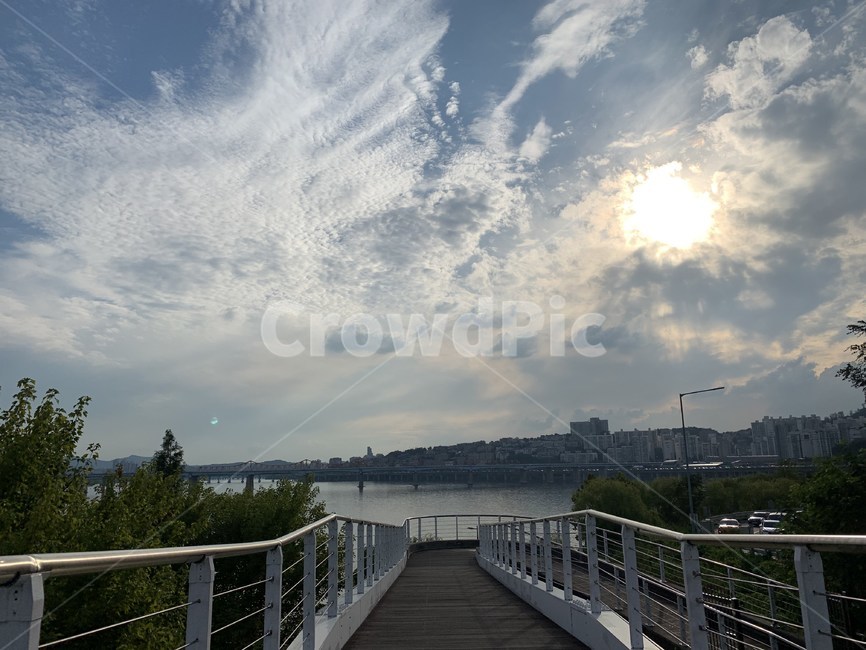 서울숲,서울,한강,다리위,난간,산책로,자연,풍경,nature,landscape,railing,handrail,banister,boardwalk,bridge,다리,building,건물