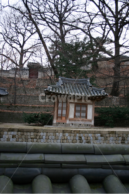 창덕궁,후원,운경거,세계문화유산,문화유산,한국,한국전통,한국문화,korean traditional,korean culture,랜드마크,landmark,tourist attraction,한국랜드마크,한국관광지,한국명소,korea landmark,korea tourist attraction,건축물,건물외관,exterior,building,structure,architecture,construction
