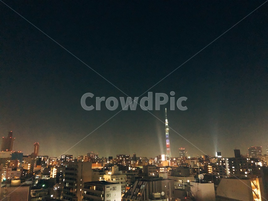 도쿄,일본,도쿄타워,밤,야경