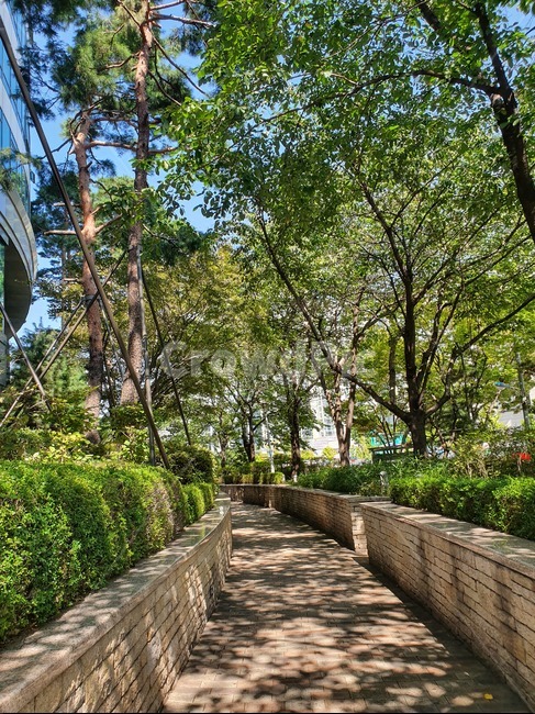 산책,산책로,풍경,야외,outdoors,정원,garden,길,path,화창한날씨,가을풍경,식물,자연,plants,nature,나무,trees,wood