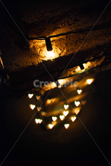 보케,하트,크리스마스장식,christmaslight,감성
