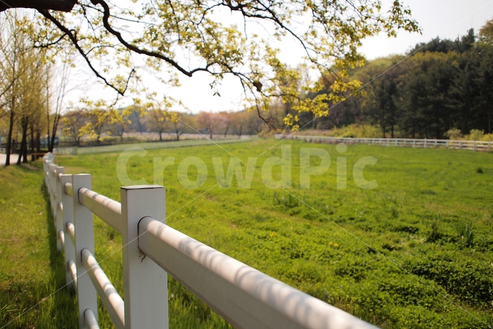 풍경,봄날,봄,배경,울타리,목장,여행,감성,잔디,초원,자연,풍경,nature,landscape,감성,sensible,feeling,휴식,힐링,rest,relaxation,healing