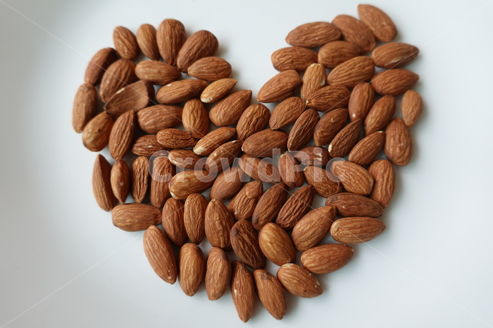식물,nut,plant,너트,food,음식,almond,아몬드,견과류,음식,식재료,요리,food,cook,meal,dishes,food reserves,콩류,견과류,beans,pulse,nuts,dry fruits,연출,컨셉,콘셉,direction,concept