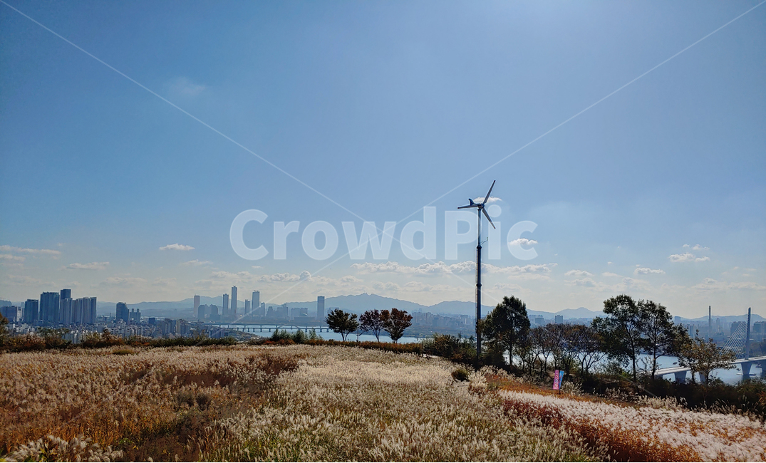 서울,가을,전경,autumn,갈대,공원,갈대숲,reed,nature,자연,경치,landscape,scenery,풍경,outdoors,옥외,푸른하늘,가을,계절,fall,autumn,season,machine,기계,engine,엔진,motor,모터