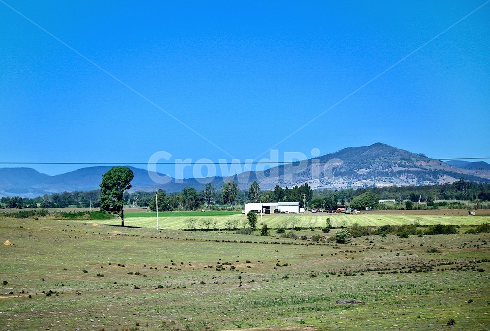 하늘,하늘과밭,드넓은밭,푸른잔디밭,연두색밭,green,lightgreen,sky,farm,풀밭,자연,화창한,자연,풍경,nature,landscape,outdoors,옥외,field,들,grassland,목초지