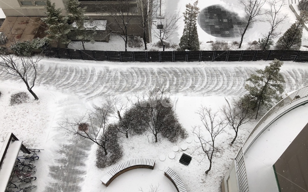 눈,자연,설경,겨울,나무,겨울,계절,winter,season