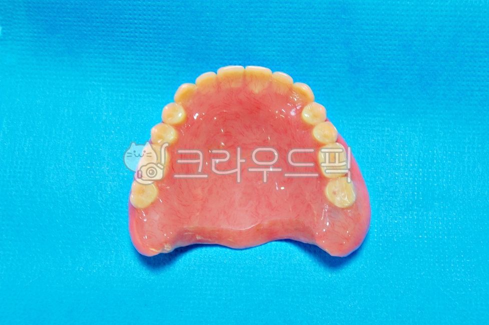 치과,치의학,틀니,의치,총의치,전체틀니,상악,치아,구강,치료,진료,건강보험,보험틀니,보험수가,치과의원,치과병원,보철,치과재료,환자,레진,푸른배경,dental,dentist,dentistry,denture,보건,의료,의학,구강보건,oral,구강위생,blue