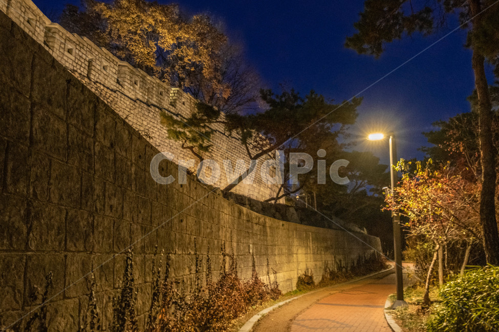 벽,통로,wall,보도,walkway,산책길,가로등,야경,밤,풍경,nightscape,night,landscape