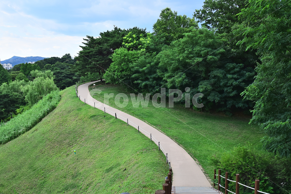 힐링,길,산책로,오솔길,호젓한,road,그린,초록색,숲,forest,인적없는,healing,공원,곡선,6월,시즌,계절,season,잔디밭,grass