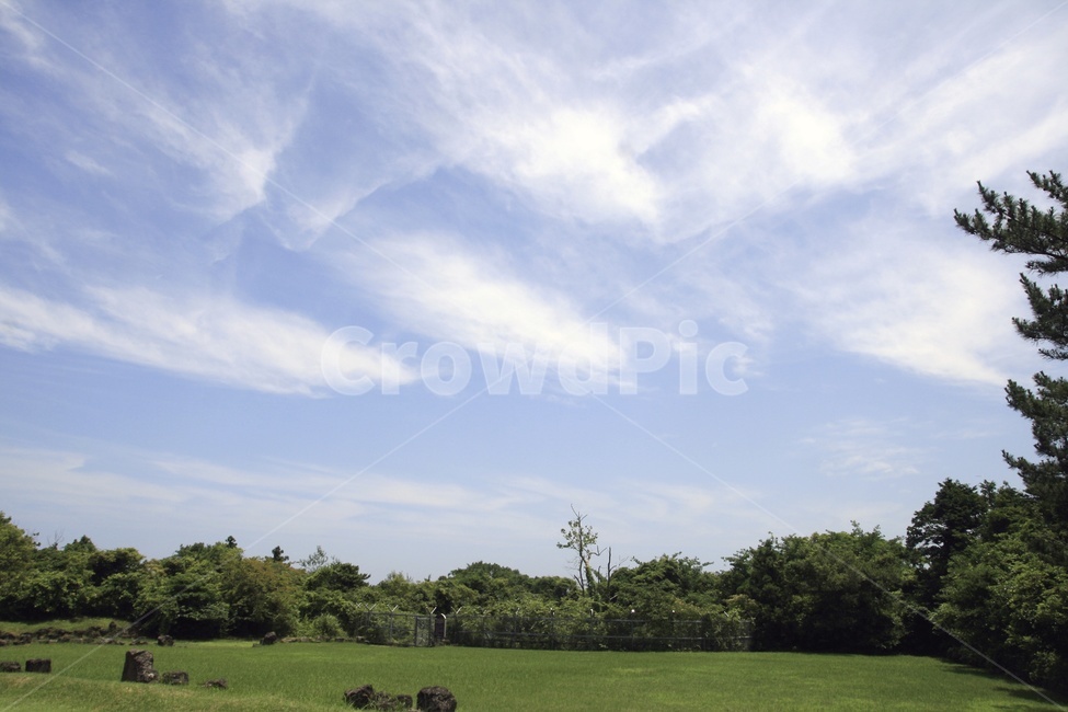 제주도,하늘,제주도하늘,맑은하늘,구름,자연,cloud,자연,풍경,nature,landscape,grass,잔디,plant,식물,outdoors,옥외,field,들,grassland,목초지