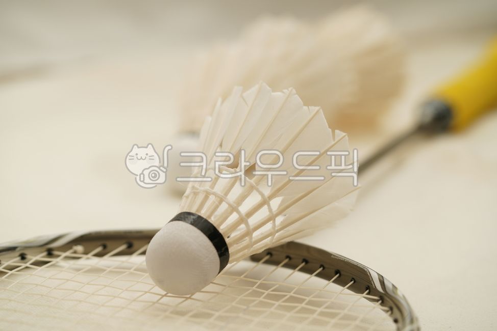 shuttlecock,feather,work out,White,sports,Badminton,equipment,badminton,hobby