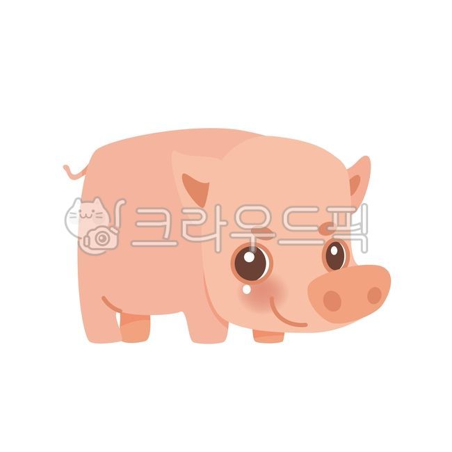 character,animal,illustration,cute,graphic,pig
