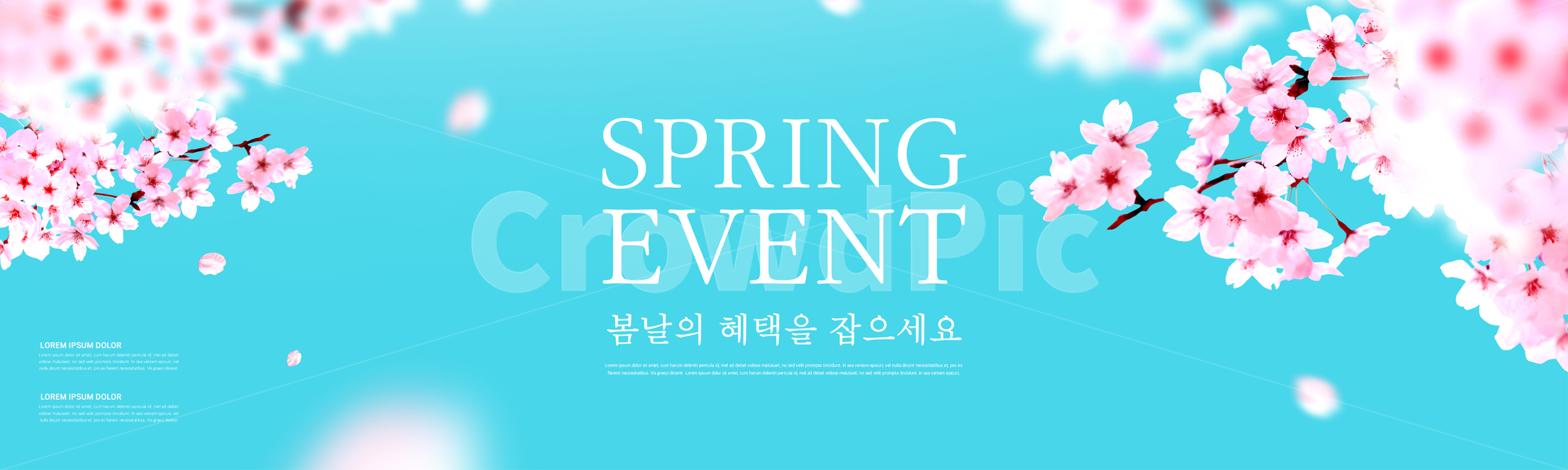 벚꽃,꽃잎,하늘,봄,배너,쇼핑,꽃,이벤트,봄,계절,spring,season,축제,행사,festival,carnival,event,그래픽,일러스트레이션,graphic,illustration