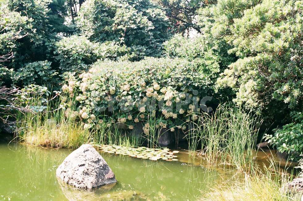 자연,강가,냇가,초록,여름,자연,풍경,nature,landscape,감성,sensible,feeling,휴식,힐링,rest,relaxation,healing,water,물,outdoors,옥외,land,땅