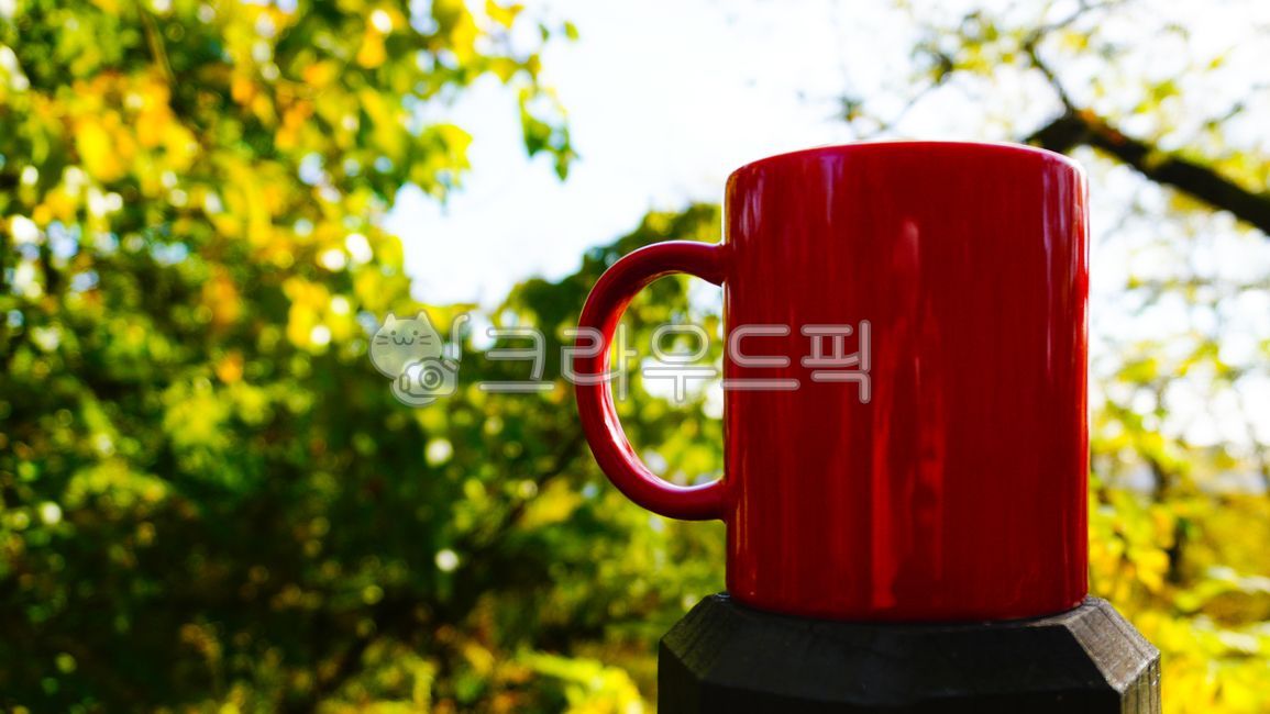 sunshine,deck,trees,red,healing,tea,mountain,leaves,weather,season,wood,day,energy,natural,Red cup,relaxation,woods,tree,drink,morning,cafe,closeup,background,vintage,october,autumn,breakfast,mountainclimbing,mug,colorful,cup,forest,bright,cappuccino,yell