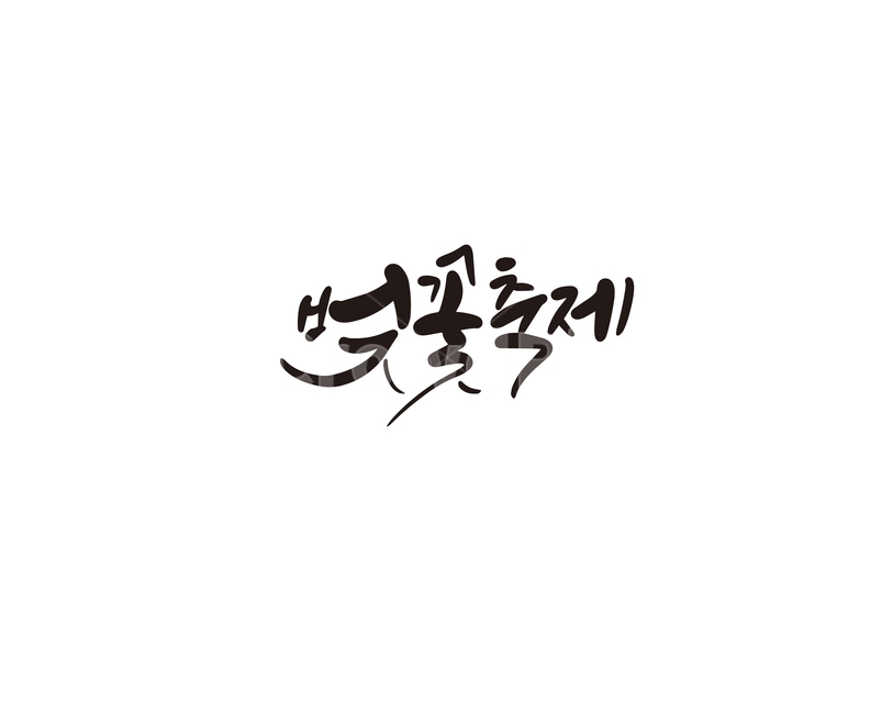 캘리,캘리그라피,벚꽃,꽃,축제,벚꽃축제,봄,봄꽃,손글씨,캘리그라피,손글씨,calligraphy