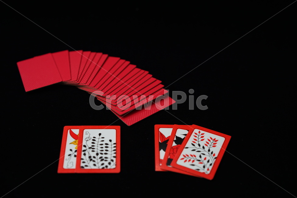 화투,고스톱,게임,놀이,도박,카드,카드게임,card,화투패,화투장,맞고,한국전통,한국문화,korean traditional,korean culture,게임,오락,놀이,game,play