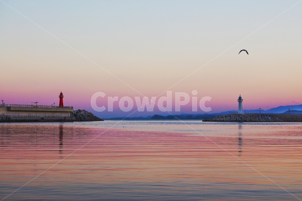 갈매기,바다,바다등대,보라색,하늘,등대,lighthouse,색깔,색상,색채,색감,color sense,color sensitivity,feeling of color,adventure,모험,animal,동물,bird,새