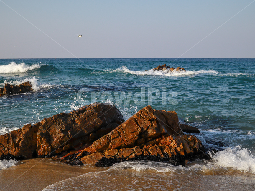 파도,바다,동해,포말,해변,자연,nature,landscape,beach,sea,자연,풍경,nature,landscape,ocean,대양,water,물,outdoors,옥외