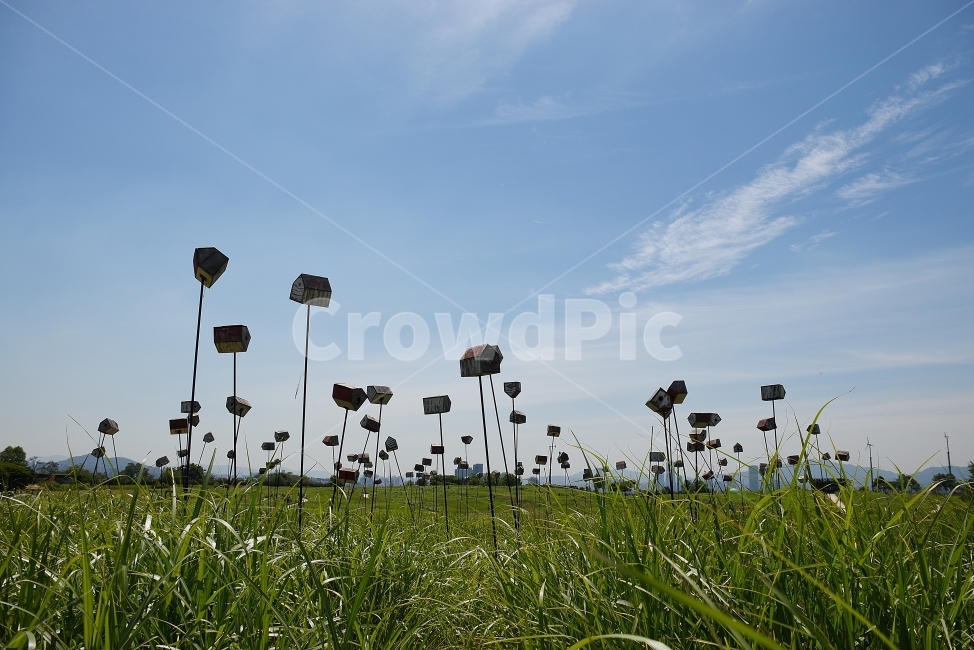 하늘,새집,초록,파랑,하늘공원,Sky,Blue,Green,자연,풍경,nature,landscape,한국자연풍경,한국자연경관,korea nature landscape,grassland,목초지,field,들,outdoors,옥외,plant,식물,vase,병 장식,jar,항아리,potted plant,화분,pottery,도기류,grass,잔디