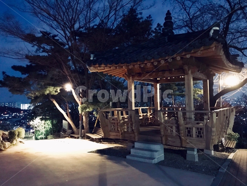 밤,야경,정자,공원,나무,길,빛,어둠,조명,야경,밤,풍경,nightscape,night,landscape,한국전통,한국문화,korean traditional,korean culture,건축물,건물외관,exterior,building,structure,architecture,construction