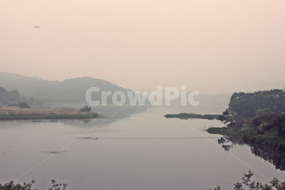 우포늪,늪,자연,새벽,우포,풍경,자연,풍경,nature,landscape,outdoors,옥외