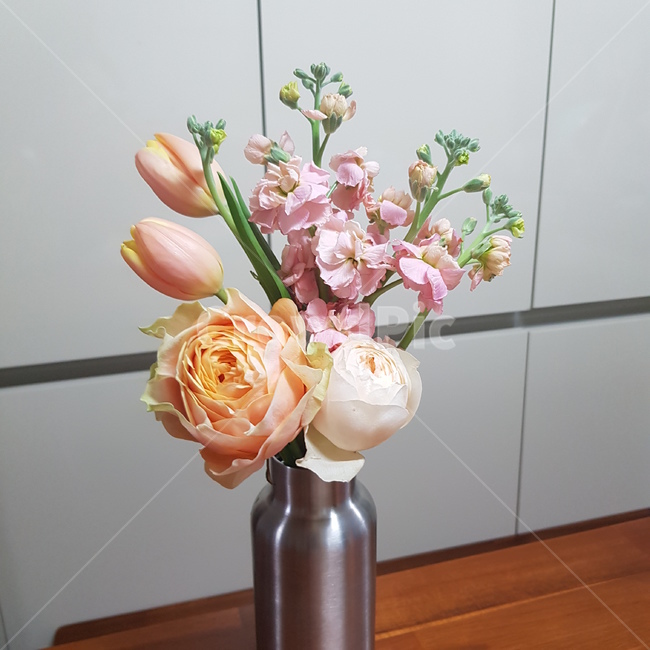 plant,식물,꽃,봄,장미,튤립,꽃다발