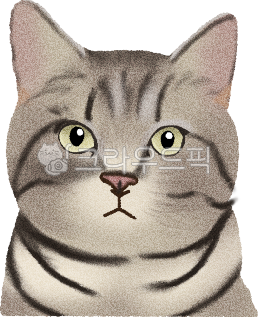 고양이,귀여운,동물,캐릭터,cat