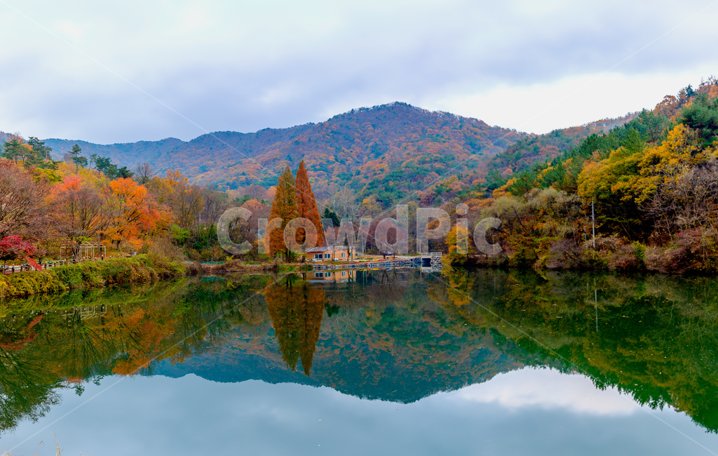 충남,공주,송곡지,풍경,단풍,가을