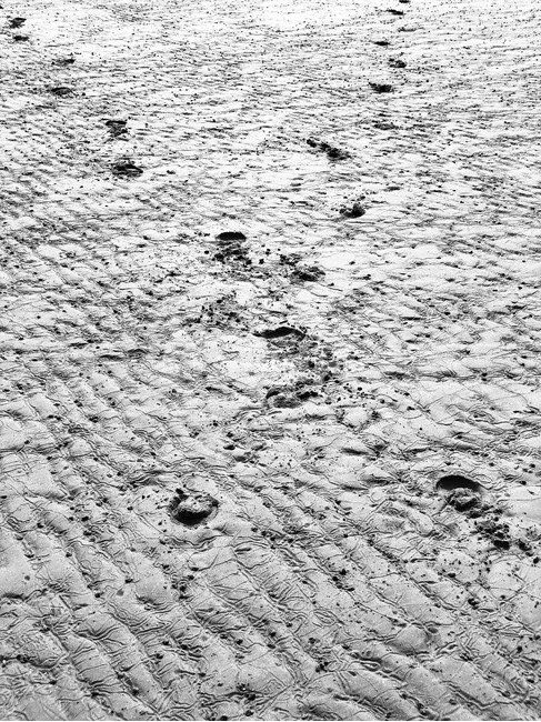 서해,갯뻘,흑백,발자국,바다,해변,바다,beach,sea,흑백,모노톤,monochrome,black and white