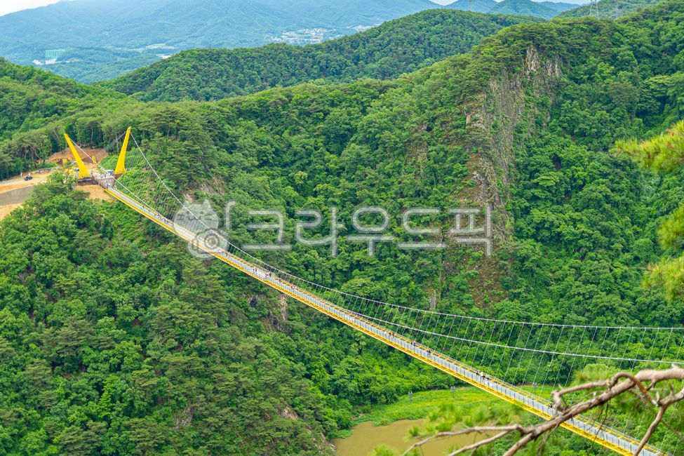 green,nature,tourist destination,tree,vegetation,suspensionbridge,suspension bridge,bridge,architecture