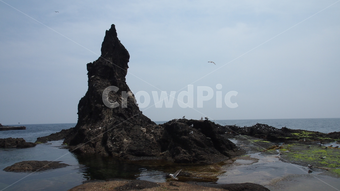 독도,동해,파란하늘,맑음,섬,sea,dokdo,scenery,view,곶