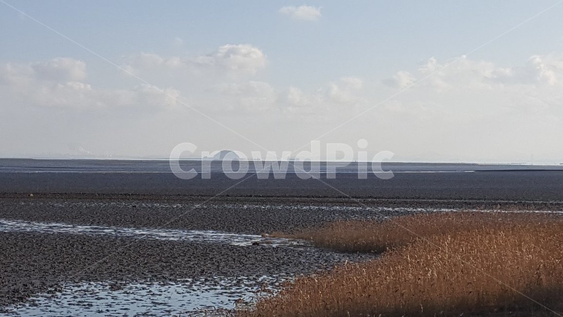 nature,자연,바다,갈대,해변,자연,풍경,nature,landscape