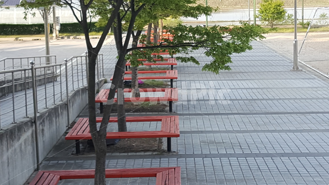 공원,벤치,풍경,경치,의자