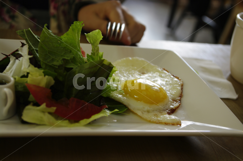 브런치,아침식사,식사,요리,food,샐러드,음식,식재료,요리,food,cook,meal,dishes,food reserves,아침식사,조식,브런치,breakfast,brunch