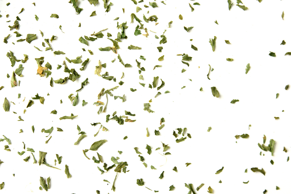 말린잎,cooking,parsleyleaf,양념,탑앵글,parsley,파슬리가루,파슬리,driedparsley,파슬리잎,dry,dryparsley,food,green,italian,leaf,macro,plant,powder,topview,식재료,closeup,요리재료,말린,마른,가루,파우더,이탈리안,음식,식재료,요리,food,cook,meal,dishes,food reserves,연출,컨셉,콘셉,direction,concept,누끼,remove background