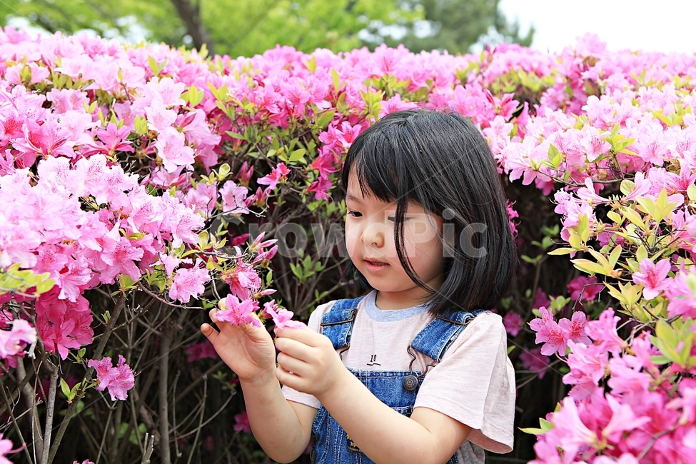 여자아이,아이,어린이,사람,자연,배경