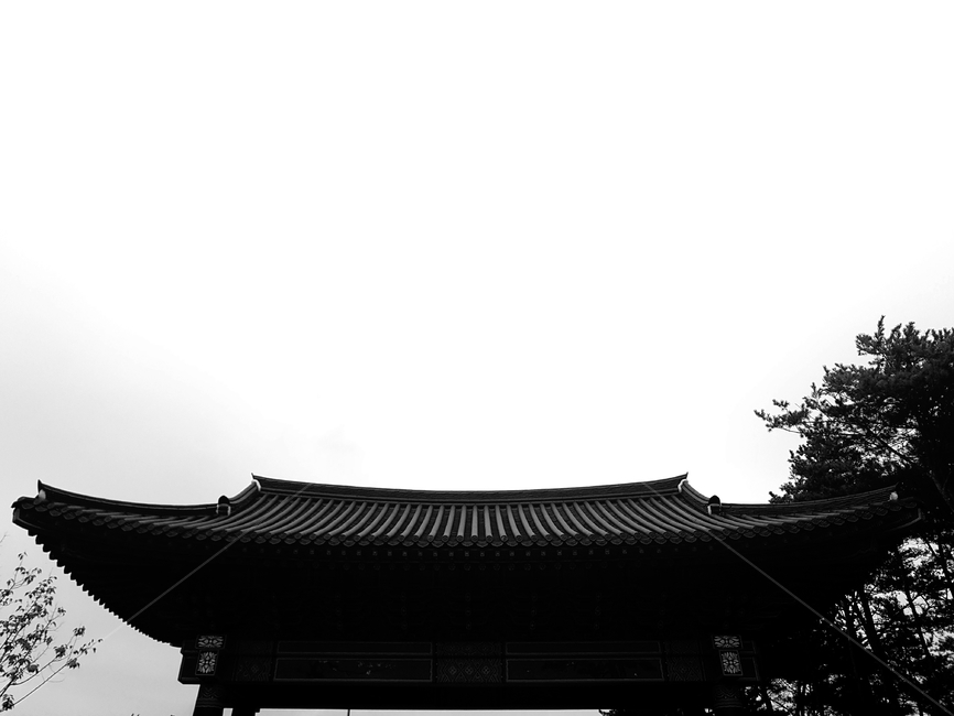 한국,기와,흑백,건물,전통