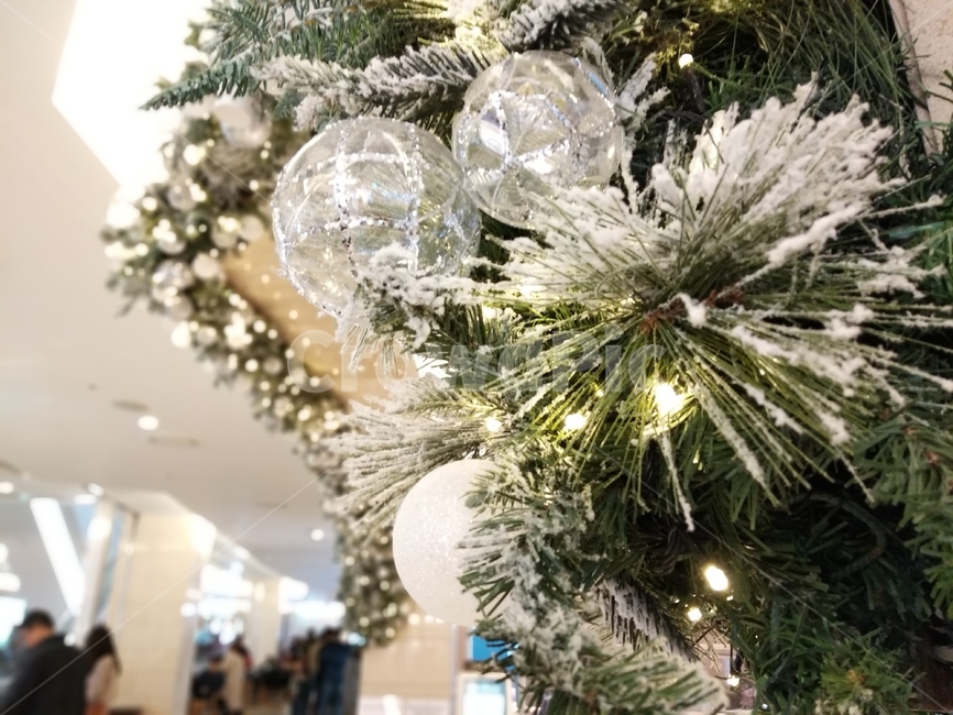 크리스마스,성탄절,장식,트리,눈꽃,겨울,계절,winter,season,메리크리스마스,성탄절,merry christmas