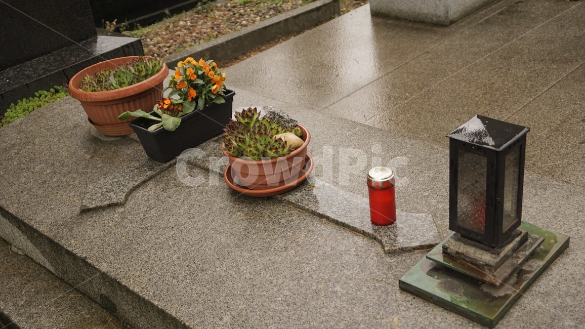 tomb,묘지,graveyard,추모,prague,실내용화초,화분,화초,house plant